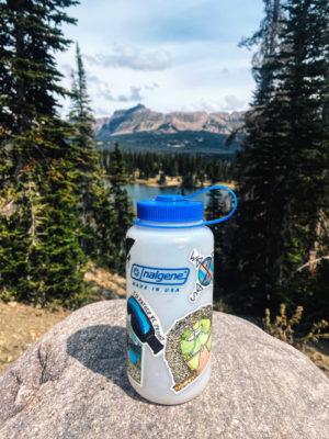 Nalgene Bottle overlooking a lake and forest