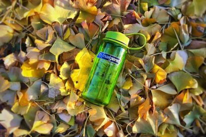 32 oz. Wide Mouth Bottle - Spring Green sitting atop a pile of leaves